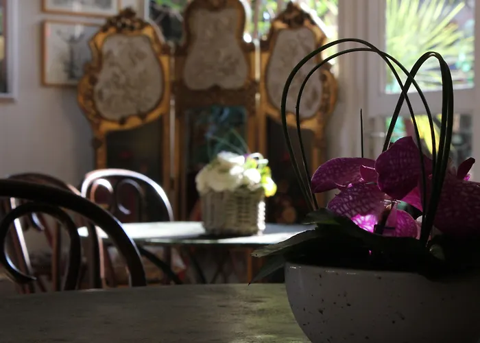 Nina 2* Αντίμπ