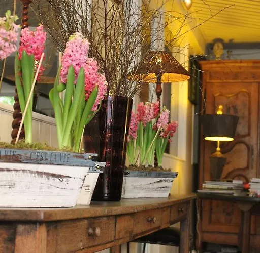 Nina מלון אנטיב